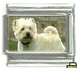 Dog charm - West Highland Terrier 1